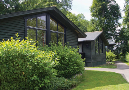 Wellness retreat Full Payment: